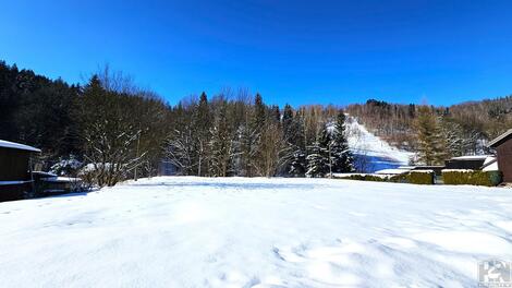 foto02_11466559_lp5ww.jpg