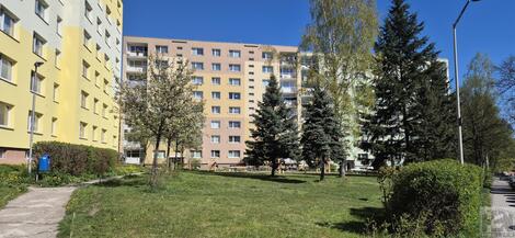 foto02_11488618_2hhg8.jpg