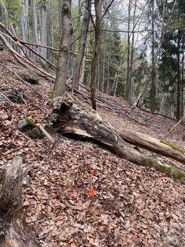 foto02_11562502_kevk.jpg