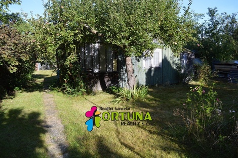 foto05_11372658_98hh0.jpg