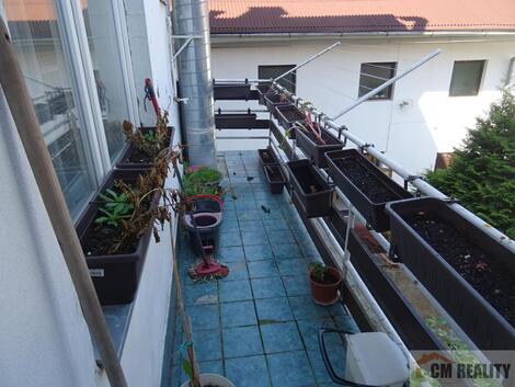 foto02_11549570_1jdjqw.jpg