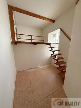 foto02_11549571_i9rh4.jpg