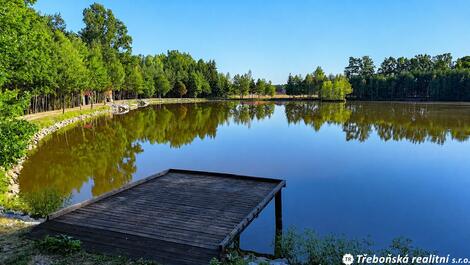 foto02_11546117_qk6j4.jpg