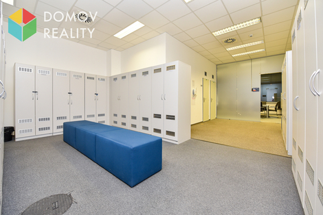 foto16_11480353_75801.jpg