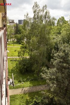 foto02_11365900_ksuvg.jpg