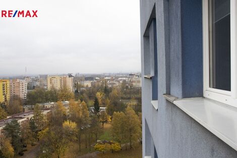 foto02_11365902_n0eoo.jpg