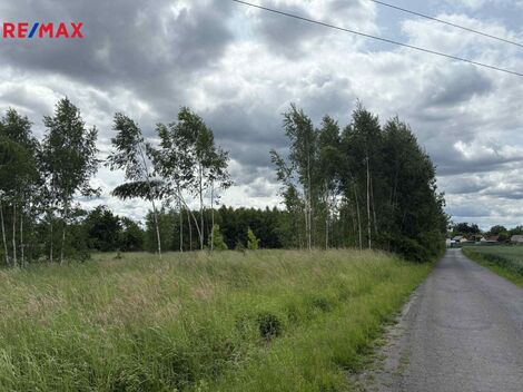 foto02_11371456_kfx7k.jpg