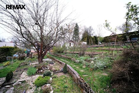 foto02_11482724_1gqkos.jpg