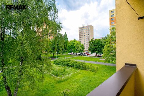 foto02_11513504_i4by8.jpg