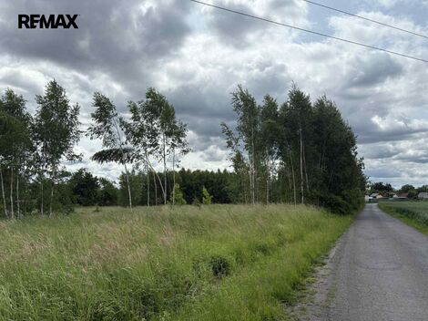 foto02_11532857_1xrko.jpg