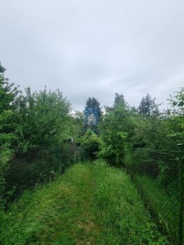 foto16_11034394_60041.jpg