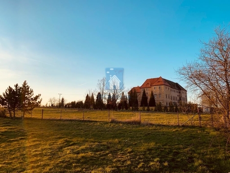 foto16_11563437_72328.jpg