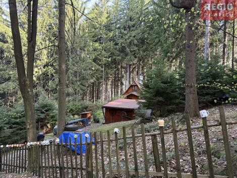 foto02_11488619_gxvsc.jpg