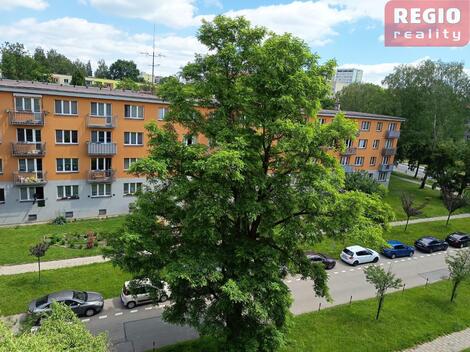 foto02_11518269_1fkivk.jpg