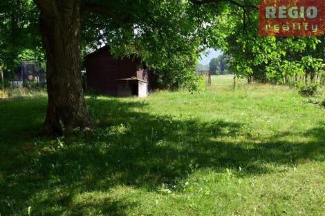 foto02_11523584_4hoiw.jpg