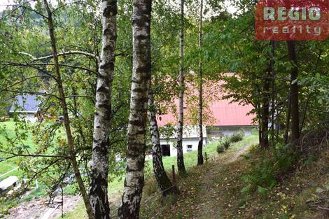foto02_11541575_yr0t0.jpg