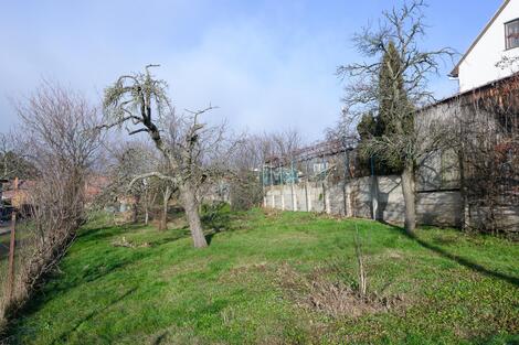foto02_11498287_9prig.jpg