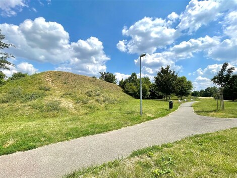 foto04_11381127_vrnrc.jpg