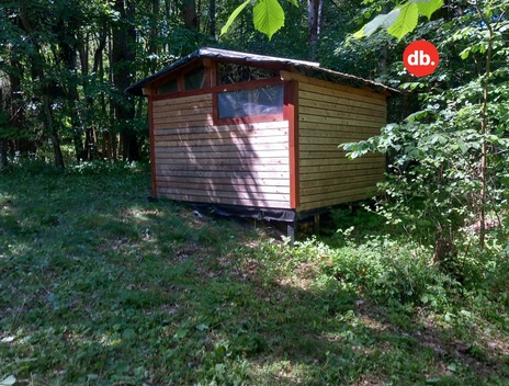 foto05_11183819_23je0.jpg