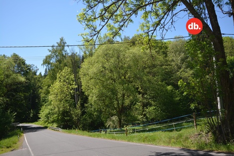 foto05_11183819_52dfm.jpg