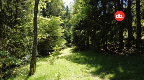 foto05_11183819_5eo86.jpg