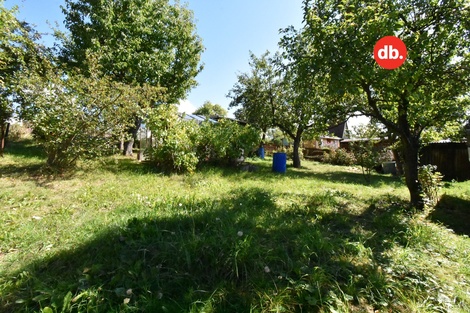 foto05_11494556_4rml0.jpg