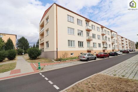 foto02_11364294_1kdav0.jpg