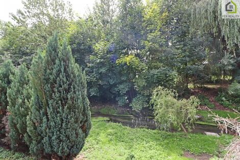 foto02_11499980_gqt8g.jpg