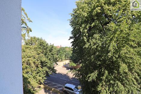 foto02_11528299_ltua0.jpg