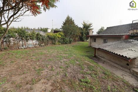 foto02_11562507_qtcgw.jpg