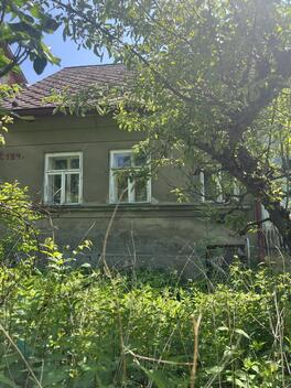 foto02_11335440_b41e0.jpg