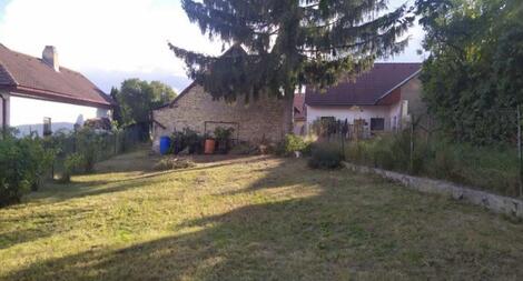 foto02_11338807_u9lb4.jpg
