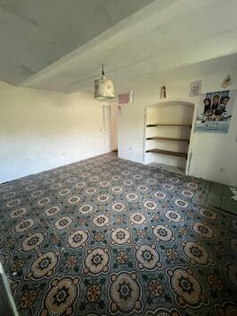 foto02_11359009_1bjwh0.jpg