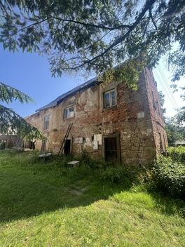 foto02_11384312_19muto.jpg