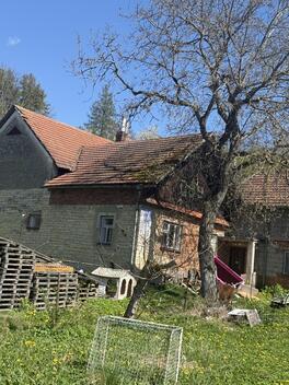 foto02_11484659_1jzxx4.jpg