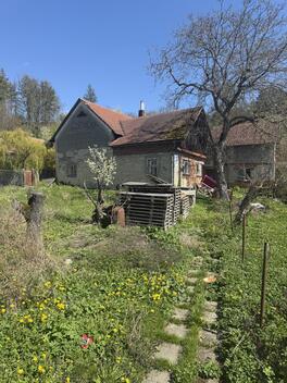foto02_11484659_ex5vw.jpg