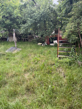 foto02_11512440_6qeuo.jpg