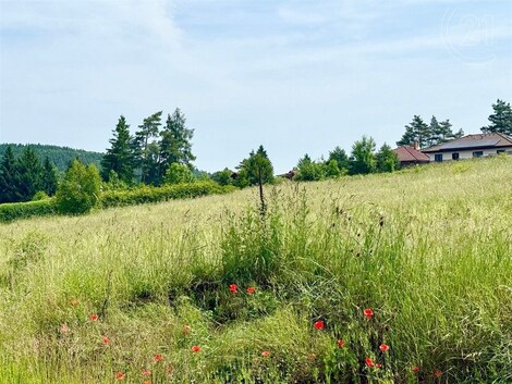 foto04_11339651_nfpzw.jpg