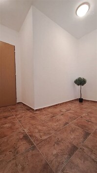 foto04_11353504_1j9kgk.jpg