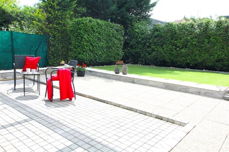 foto04_11362026_vi3xk.jpg