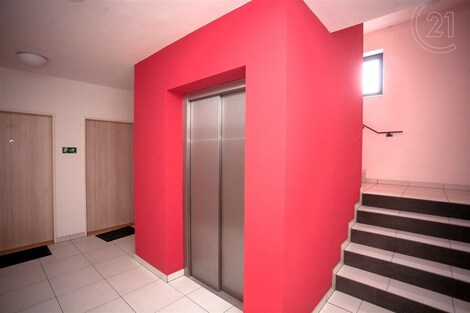 foto04_11365254_1fmyas.jpg