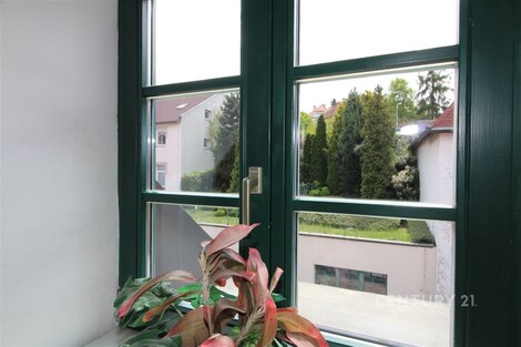 foto04_11450018_1dwcts.jpg
