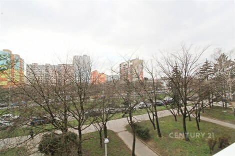 foto04_11455105_wtqto.jpg