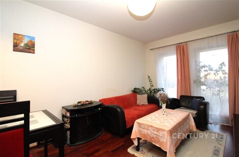 foto04_11466946_1fyog0.jpg