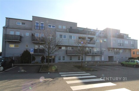 foto04_11466946_yyuzc.jpg
