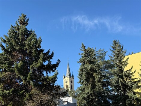 foto04_11476937_mmjj8.jpg