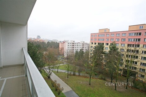 foto04_11499662_1h565g.jpg