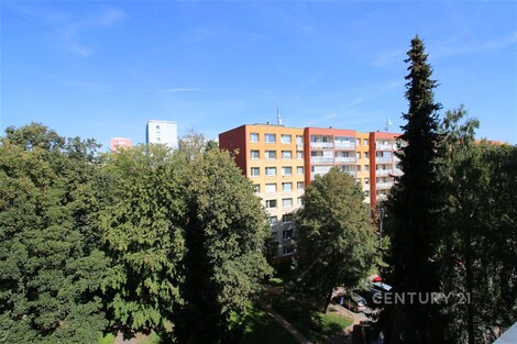 foto04_11558692_zfz9g.jpg