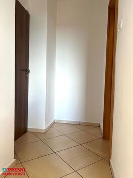 foto02_11479937_sbnsk.jpg