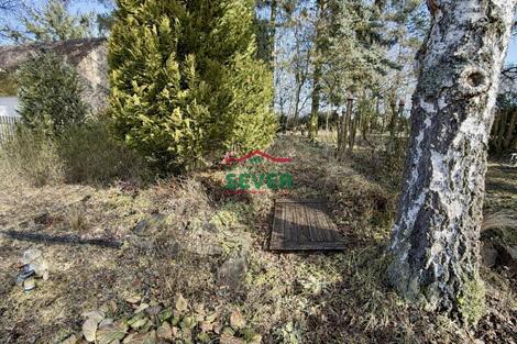 foto02_11457565_7frqk.jpg